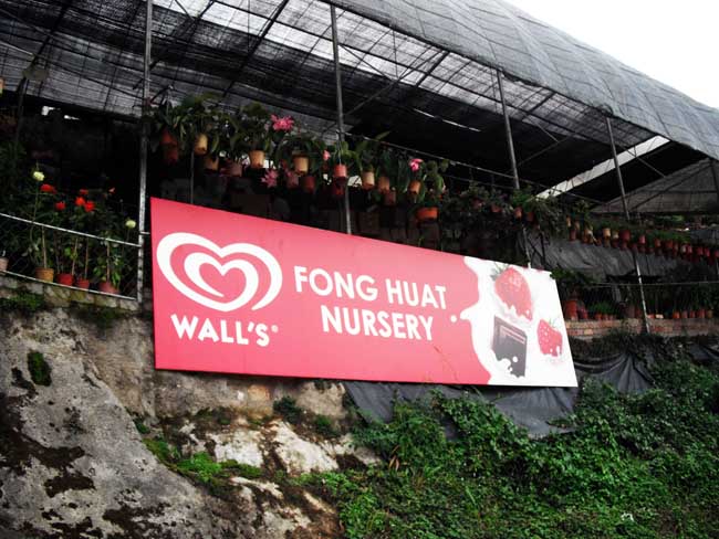 Fong Huat Nursery