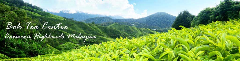 Cameron Highlands Kea Farm Map